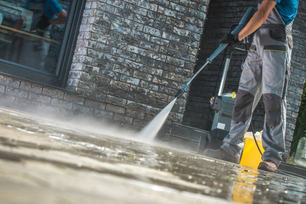 Best Gutter Cleaning  in Olcott, NY