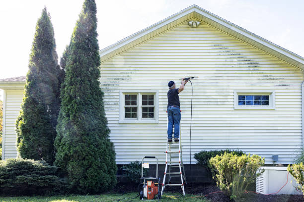 Professional Pressure Washing in Olcott, NY